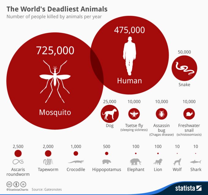chartoftheday_2203_The_Worlds_Deadliest_Animals__n
